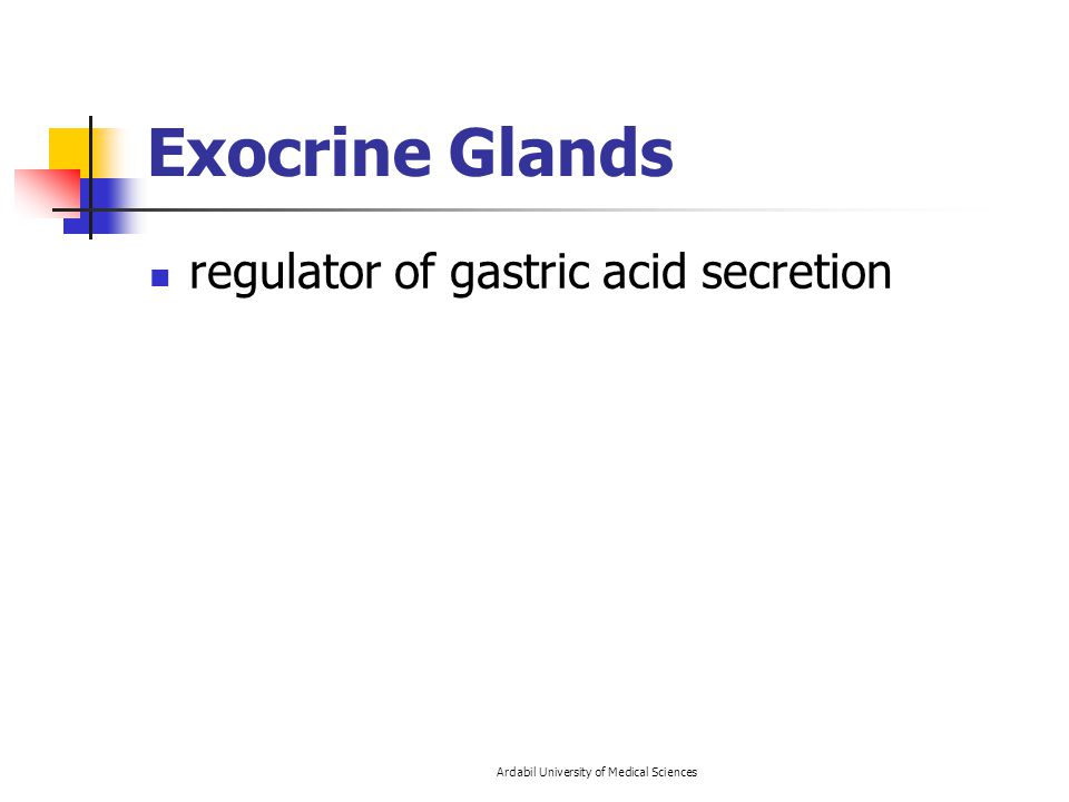Exocrine Glands regulator of gastric acid secretion Ardabil University of Medical Sciences