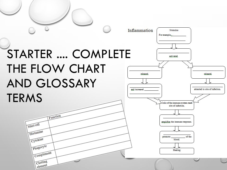 STARTER.... COMPLETE THE FLOW CHART AND GLOSSARY TERMS
