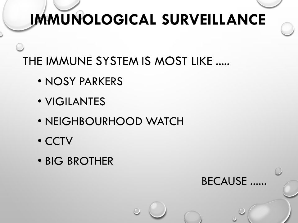 IMMUNOLOGICAL SURVEILLANCE THE IMMUNE SYSTEM IS MOST LIKE.....