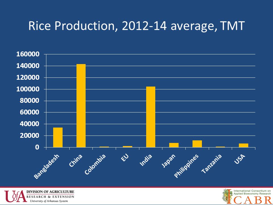 Rice Production, average, TMT