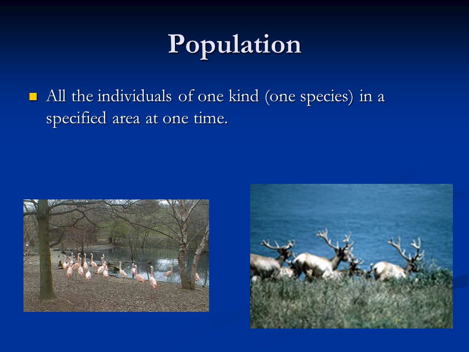 Population All the individuals of one kind (one species) in a specified area at one time.