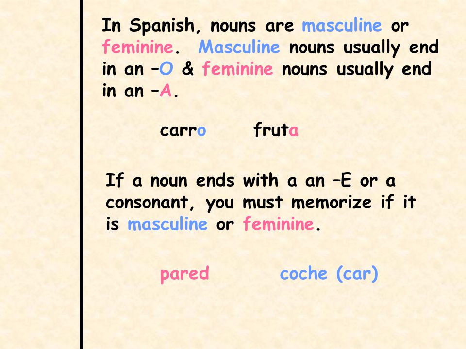 In Spanish, nouns are masculine or feminine.