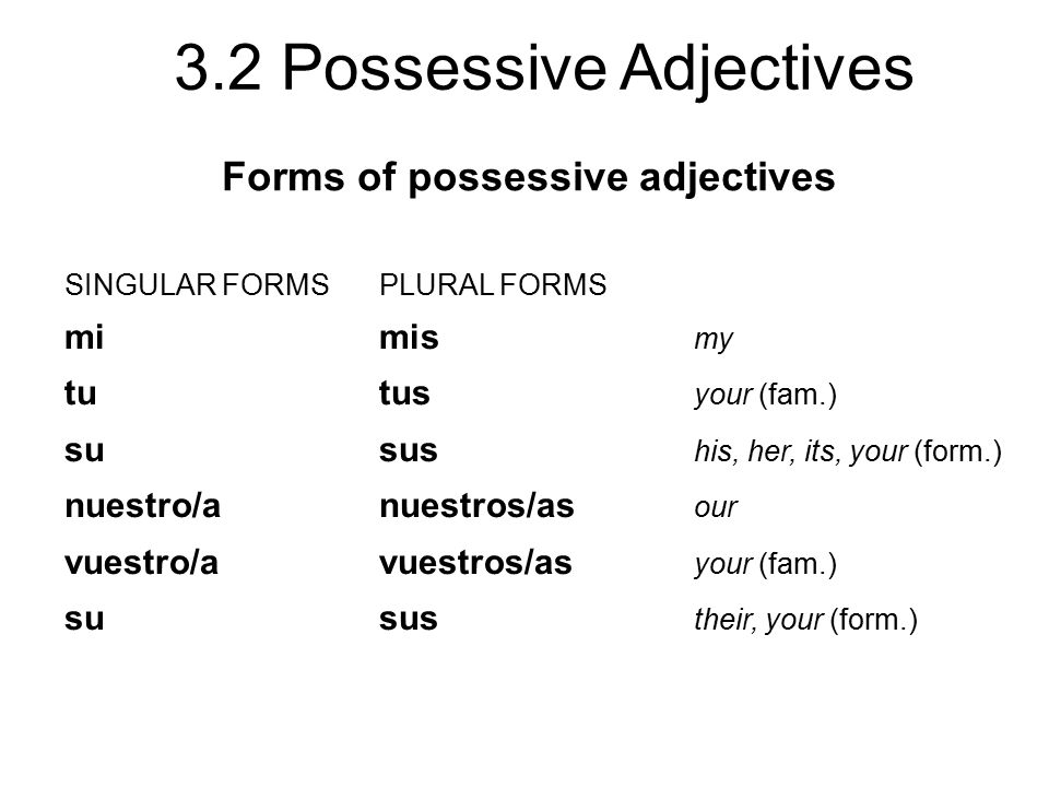 Wordwall plural 3. Possessive form. Possessive adjectives singular. Possessive 's правило. 'S possessive forms.