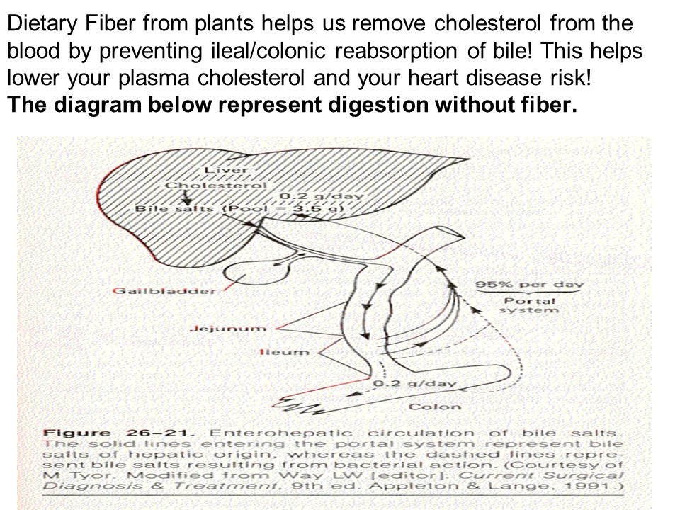 Dietary Fiber from plants helps us remove cholesterol from the blood by preventing ileal/colonic reabsorption of bile.