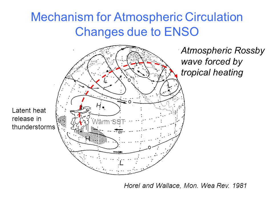 Mechanism for Atmospheric Circulation Changes due to ENSO Horel and Wallace, Mon.