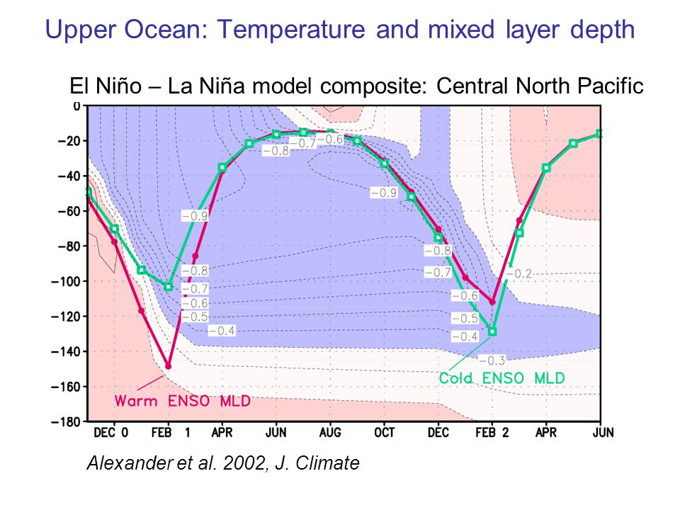 Upper Ocean: Temperature and mixed layer depth El Niño – La Niña model composite: Central North Pacific Alexander et al.