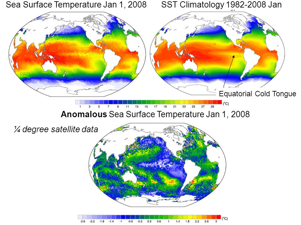 Sea Surface Temperature Jan 1, 2008 SST Climatology Jan Anomalous Sea Surface Temperature Jan 1, 2008 ¼ degree satellite data Equatorial Cold Tongue