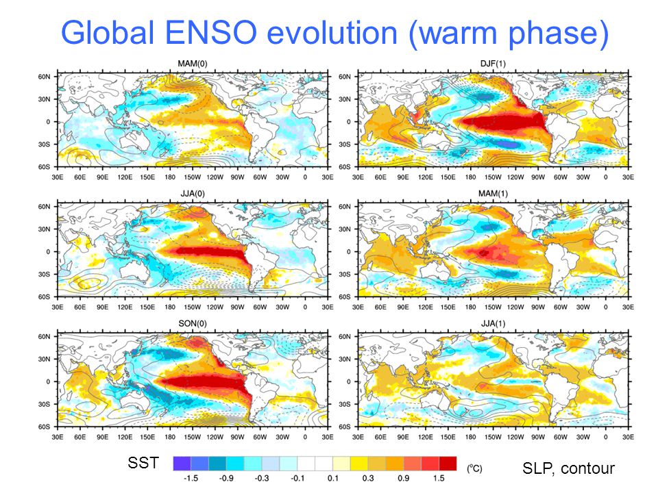 Global ENSO evolution (warm phase) SST SLP, contour