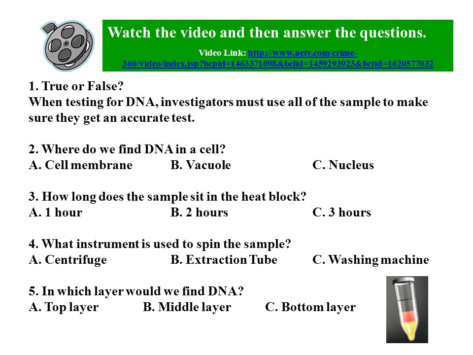 C when test. Watch the Video and answer the questions. Тест. Watch the Video and answer the question. Тест аудирование по английскому 6 класс answer the questions ответы. Then answer.
