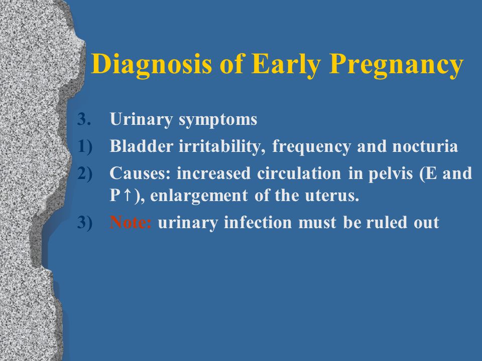 Diagnosis of Early Pregnancy 3.Urinary symptoms 1)Bladder irritability, frequency and nocturia 2)Causes: increased circulation in pelvis (E and P ↑ ), enlargement of the uterus.