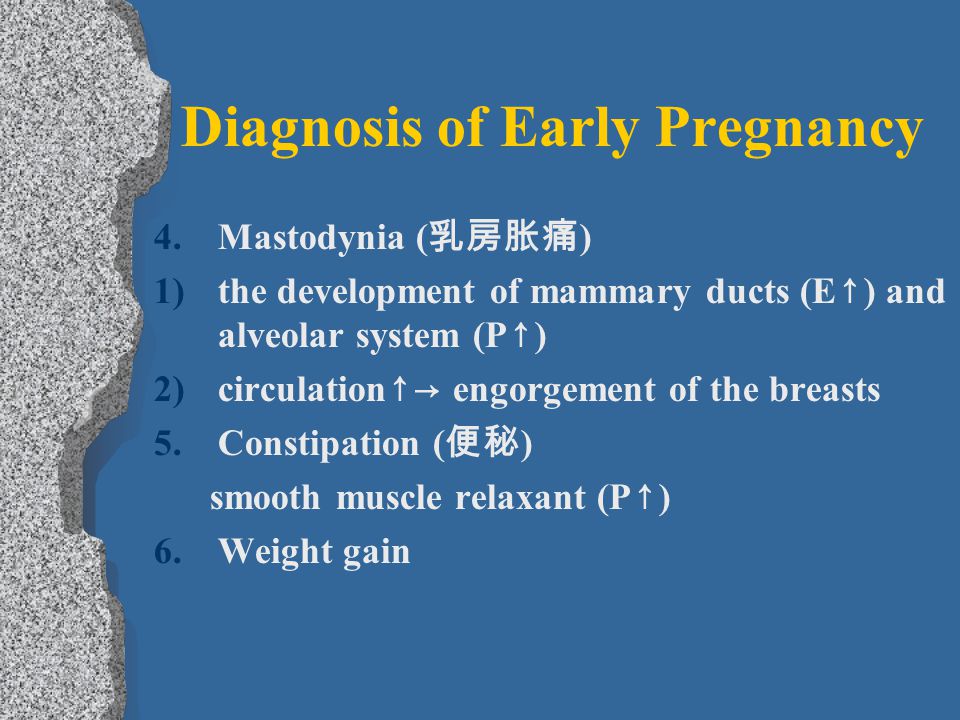 Diagnosis of Early Pregnancy 4.Mastodynia ( 乳房胀痛 ) 1)the development of mammary ducts (E ↑ ) and alveolar system (P ↑ ) 2)circulation ↑→ engorgement of the breasts 5.Constipation ( 便秘 ) smooth muscle relaxant (P ↑ ) 6.Weight gain