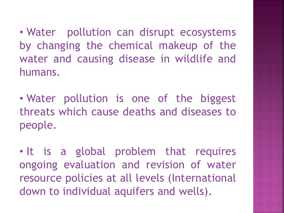 Water pollution can disrupt ecosystems by changing the chemical makeup of the water and causing disease in wildlife and humans.
