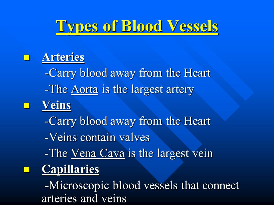 Types of Blood Vessels Arteries Arteries -Carry blood away from the Heart -Carry blood away from the Heart -The Aorta is the largest artery -The Aorta is the largest artery Veins Veins -Carry blood away from the Heart -Carry blood away from the Heart -Veins contain valves -Veins contain valves -The Vena Cava is the largest vein -The Vena Cava is the largest vein Capillaries Capillaries -Microscopic blood vessels that connect arteries and veins -Microscopic blood vessels that connect arteries and veins