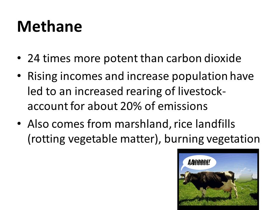 Methane 24 times more potent than carbon dioxide Rising incomes and increase population have led to an increased rearing of livestock- account for about 20% of emissions Also comes from marshland, rice landfills (rotting vegetable matter), burning vegetation