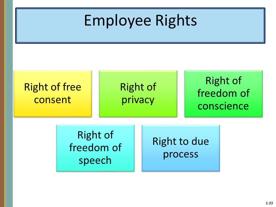 1-33 Employee Rights Right of free consent Right of privacy Right of freedom of conscience Right of freedom of speech Right to due process