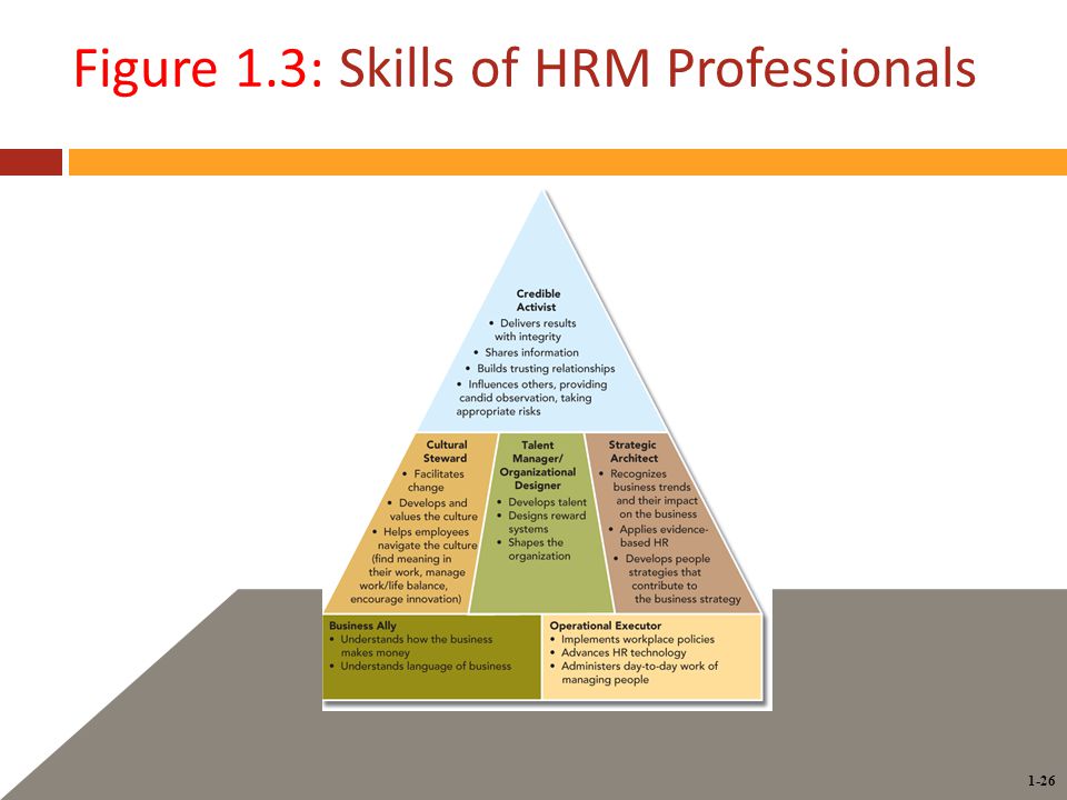 1-26 Figure 1.3: Skills of HRM Professionals
