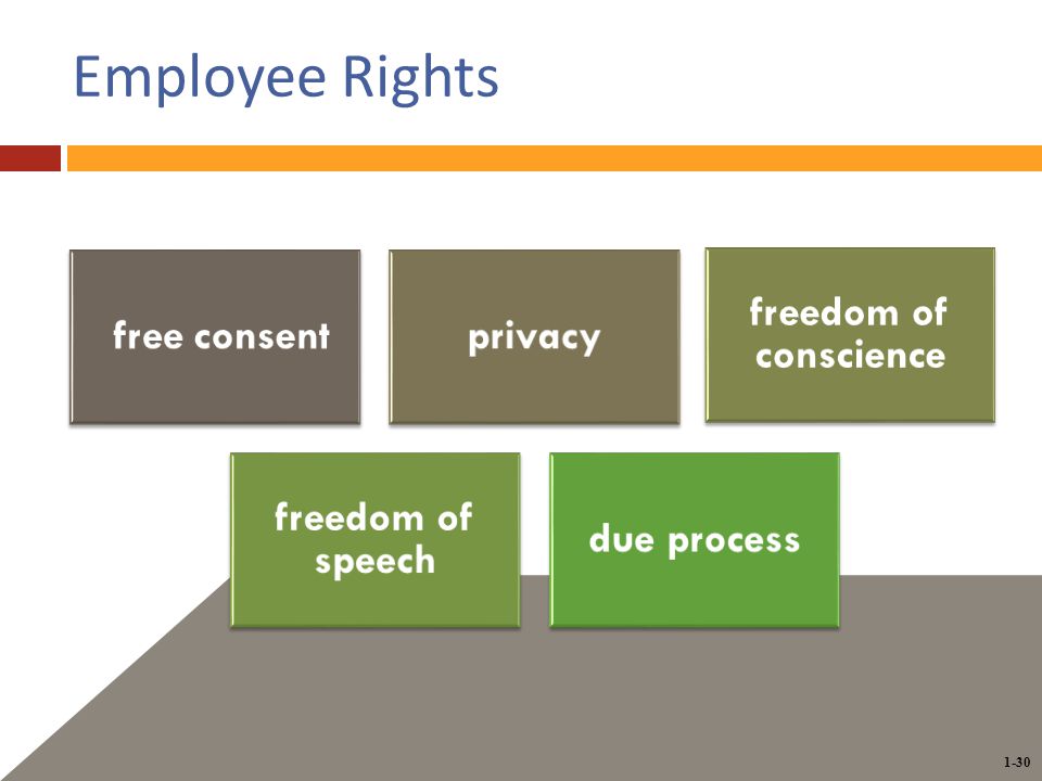 1-30 Employee Rights free consentprivacy freedom of conscience freedom of speech due process