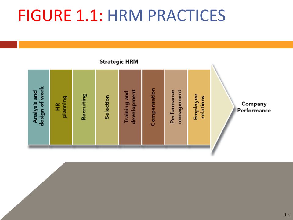 1-4 FIGURE 1.1: HRM PRACTICES