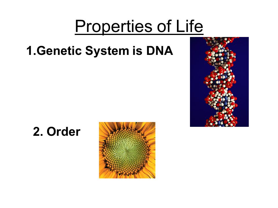 Properties of Life 1.Genetic System is DNA 2. Order