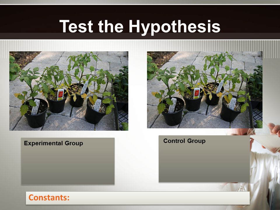 Test the Hypothesis experimental control groupgroup Constants: Experimental Group Control Group