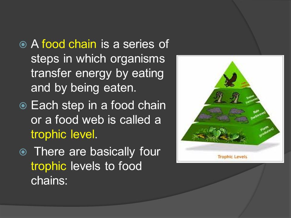  A food chain is a series of steps in which organisms transfer energy by eating and by being eaten.