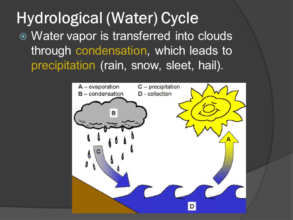 Hydrological (Water) Cycle  Water vapor is transferred into clouds through condensation, which leads to precipitation (rain, snow, sleet, hail).