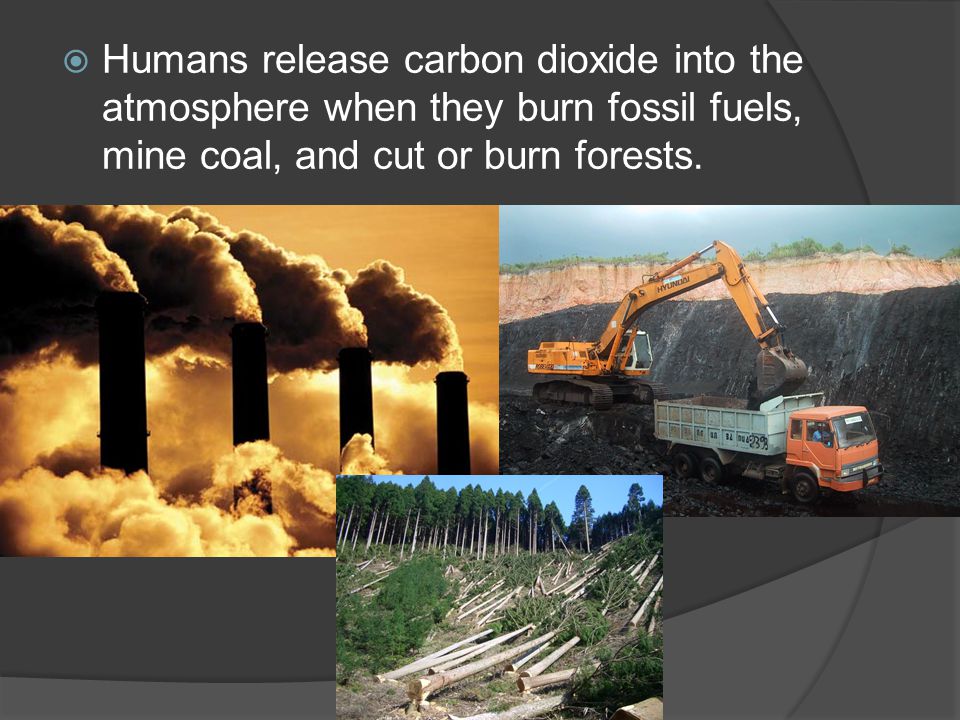  Humans release carbon dioxide into the atmosphere when they burn fossil fuels, mine coal, and cut or burn forests.