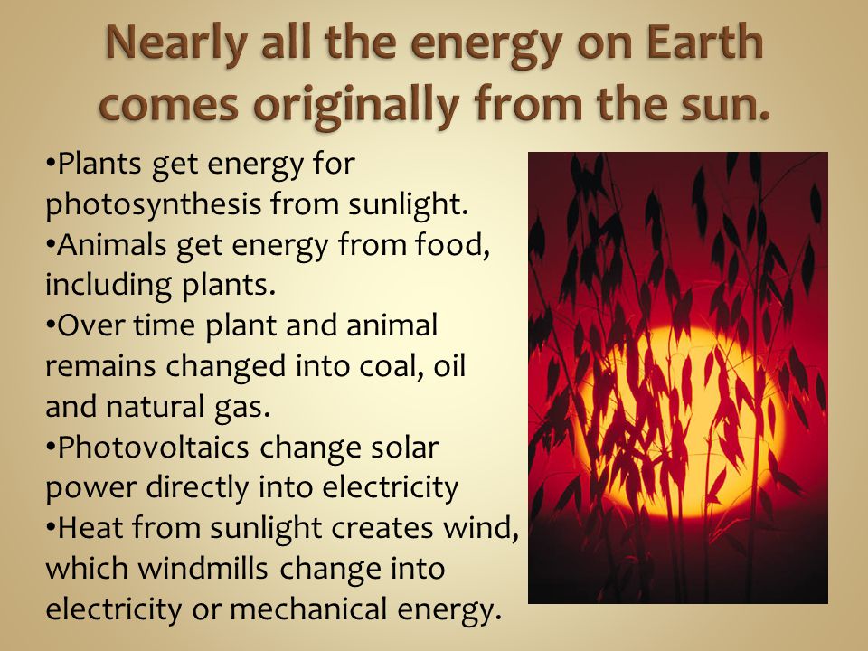 Plants get energy for photosynthesis from sunlight.