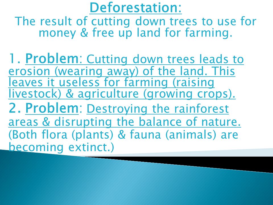 Deforestation: The result of cutting down trees to use for money & free up land for farming.