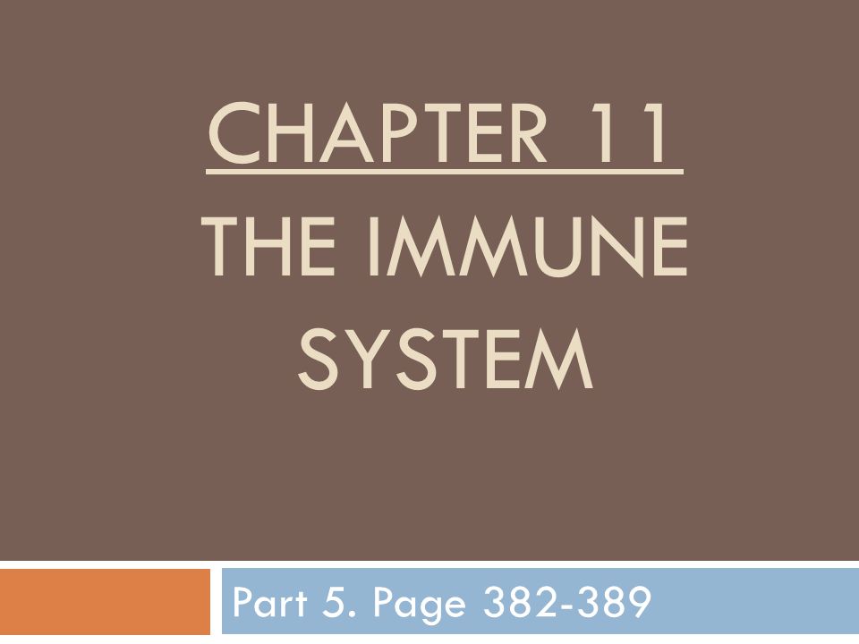 CHAPTER 11 THE IMMUNE SYSTEM Part 5. Page