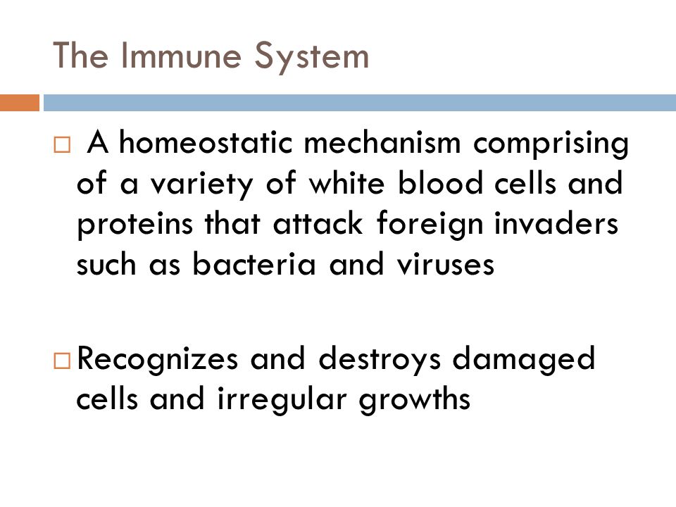 The Immune System  A homeostatic mechanism comprising of a variety of white blood cells and proteins that attack foreign invaders such as bacteria and viruses  Recognizes and destroys damaged cells and irregular growths