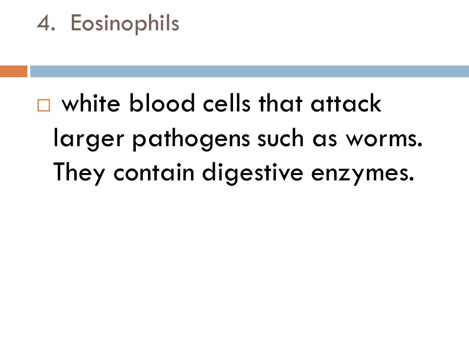 4. Eosinophils  white blood cells that attack larger pathogens such as worms.
