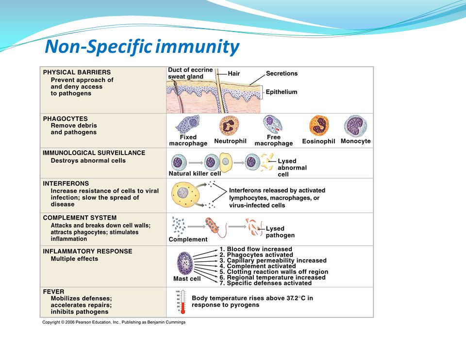 Non-Specific immunity