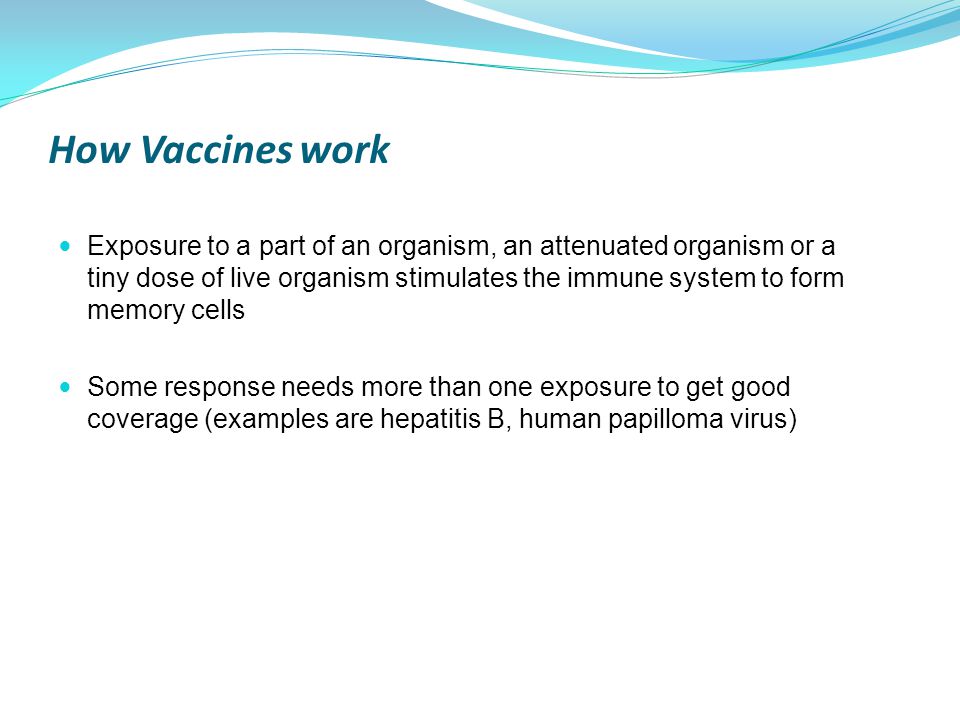 How Vaccines work Exposure to a part of an organism, an attenuated organism or a tiny dose of live organism stimulates the immune system to form memory cells Some response needs more than one exposure to get good coverage (examples are hepatitis B, human papilloma virus)