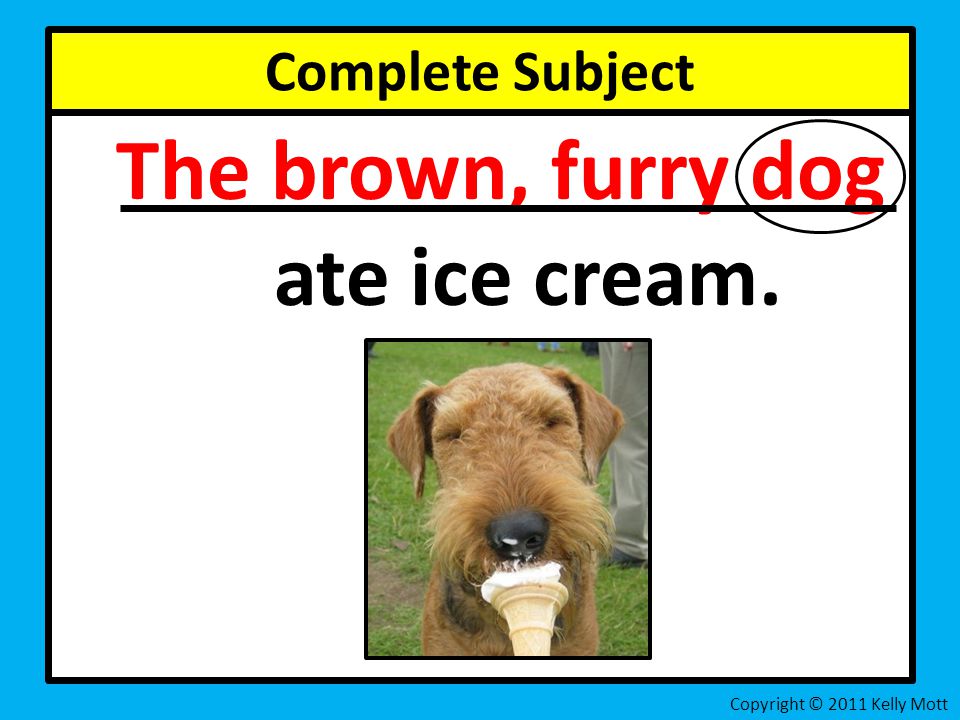 Complete Subject The brown, furry dog ate ice cream. Copyright © 2011 Kelly Mott