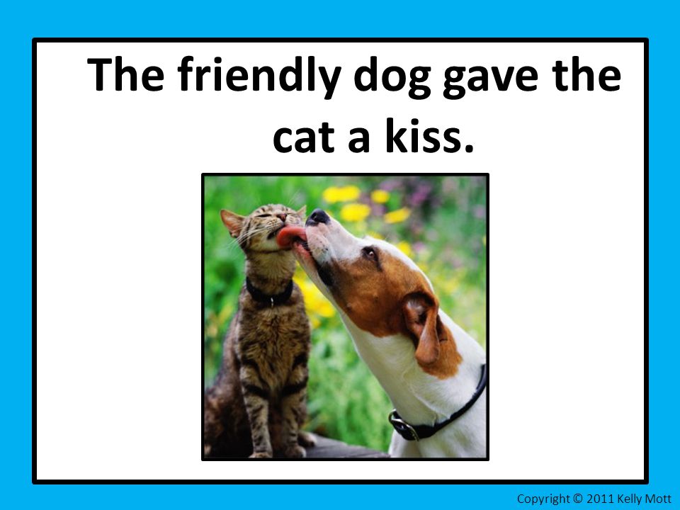 The friendly dog gave the cat a kiss. Copyright © 2011 Kelly Mott