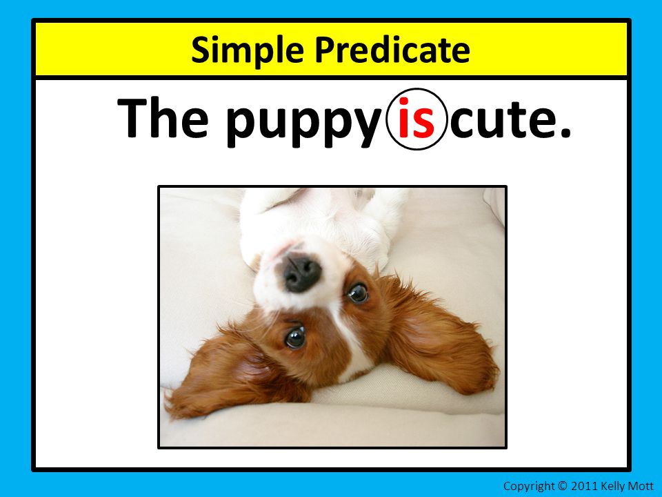Simple Predicate The puppy is cute. Copyright © 2011 Kelly Mott