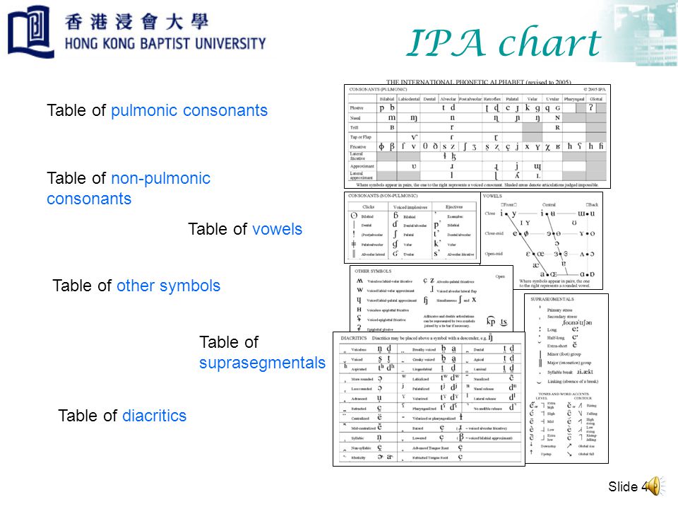 The IPA Chart An Animated and Narrated Glossary of Terms used in  Linguistics presents. - ppt download