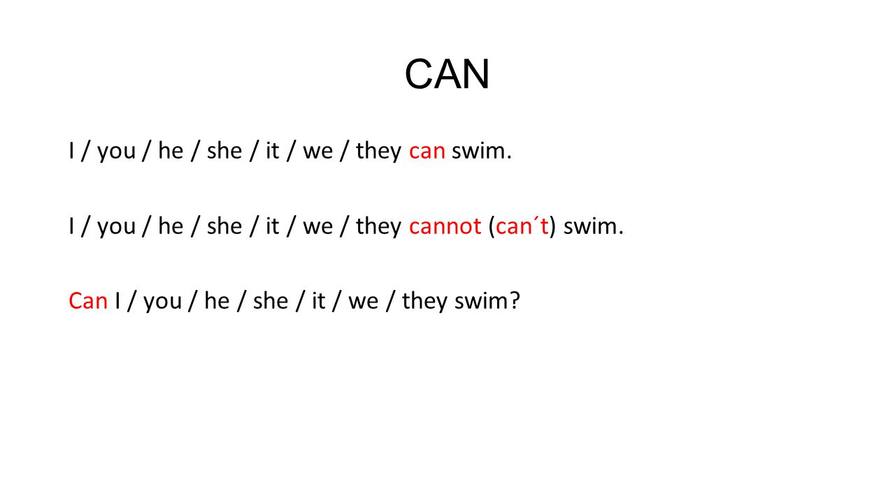 CAN I / you / he / she / it / we / they can swim.
