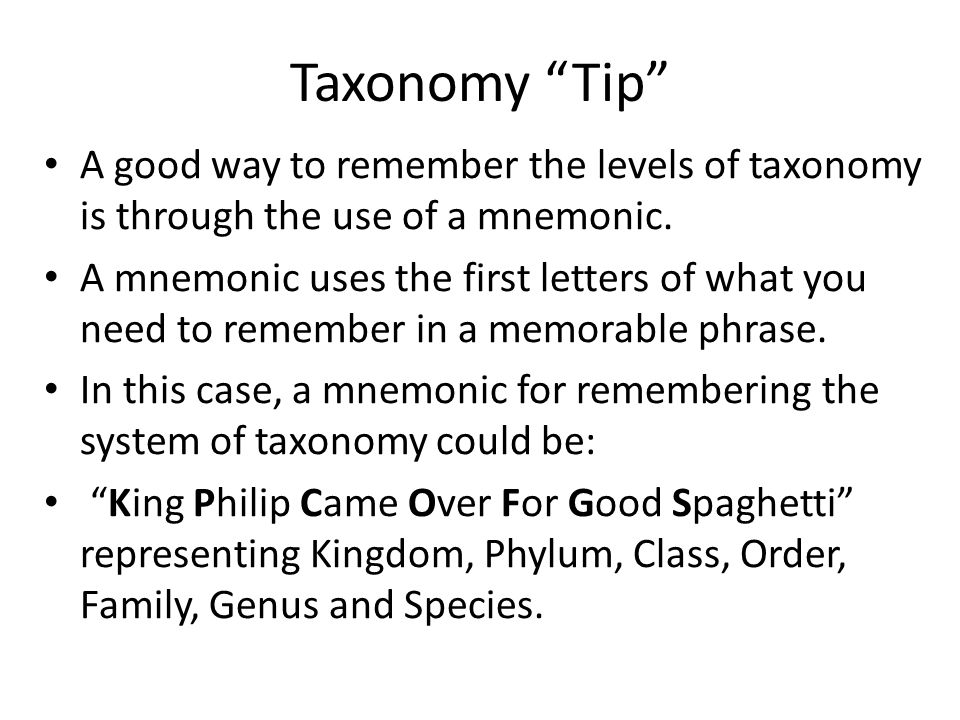 Taxonomy Let S Look At The Modern System Of Taxonomy From The Top Down Ppt Download Taxonomy Let S Look At The Modern System Of Taxonomy From The Top Down Ppt Download