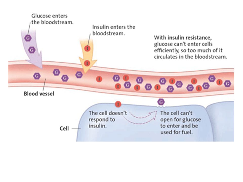Резистентность клетки. Инсулин. Инсулин и клетка. Инсулин и Глюкоза. Сахар и инсулин в крови.