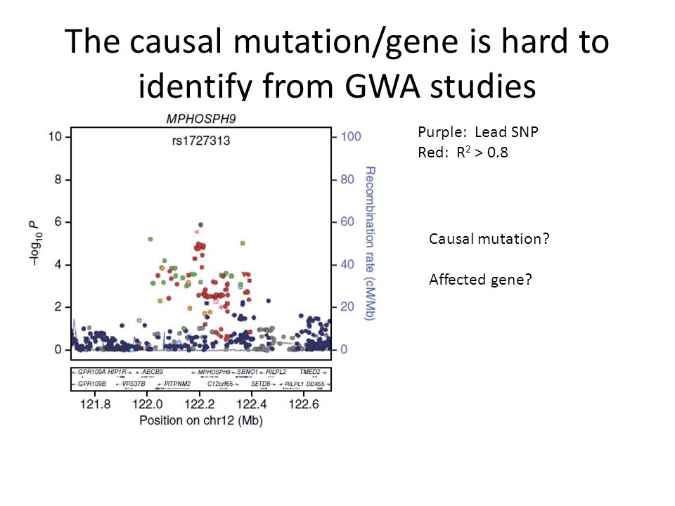 The causal mutation/gene is hard to identify from GWA studies Purple: Lead SNP Red: R 2 > 0.8 Causal mutation.