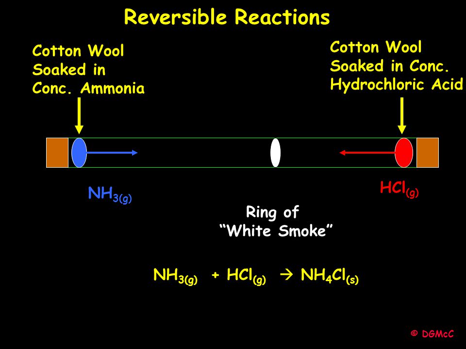 Dgmcc Magee Lecture C Dgmcc Cotton Wool Soaked In Conc Ammonia Cotton Wool Soaked In Conc Hydrochloric Acid Nh 3 G Hcl G Ring Of White Smoke Ppt Download