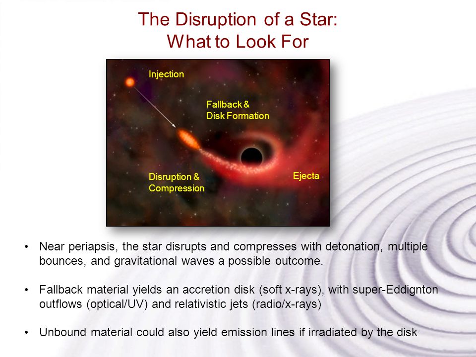 The Disruption of a Star: What to Look For Injection Disruption & Compression Fallback & Disk Formation Ejecta Near periapsis, the star disrupts and compresses with detonation, multiple bounces, and gravitational waves a possible outcome.