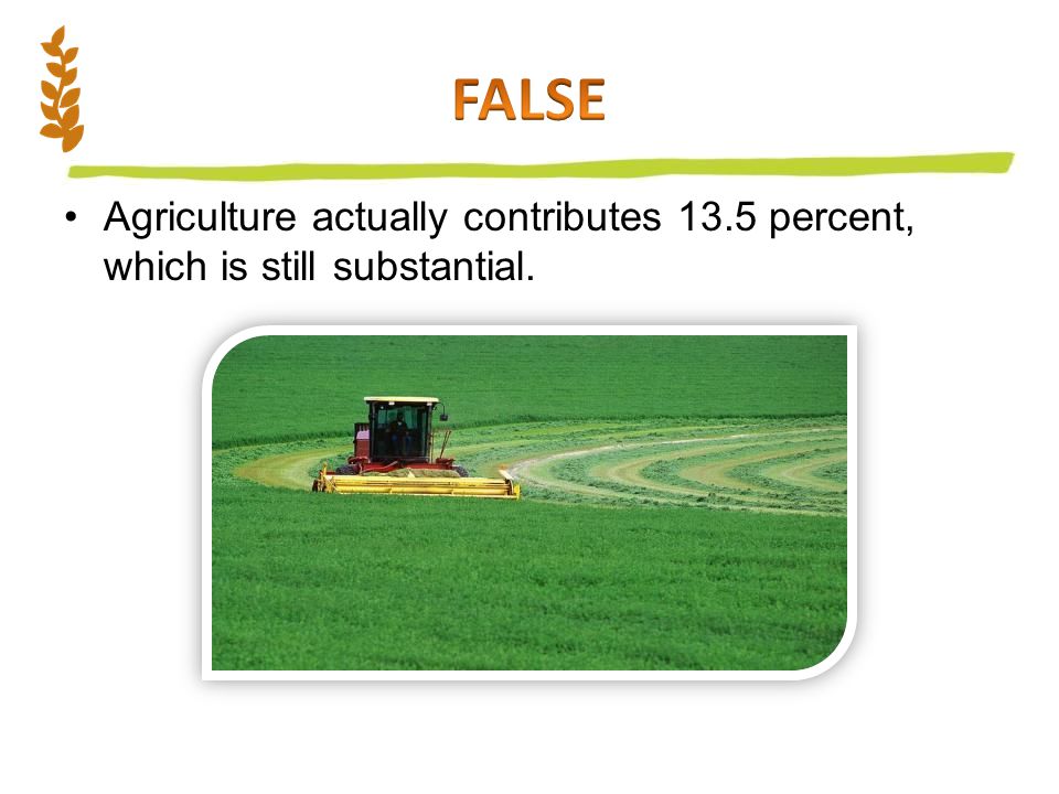 Agriculture actually contributes 13.5 percent, which is still substantial.