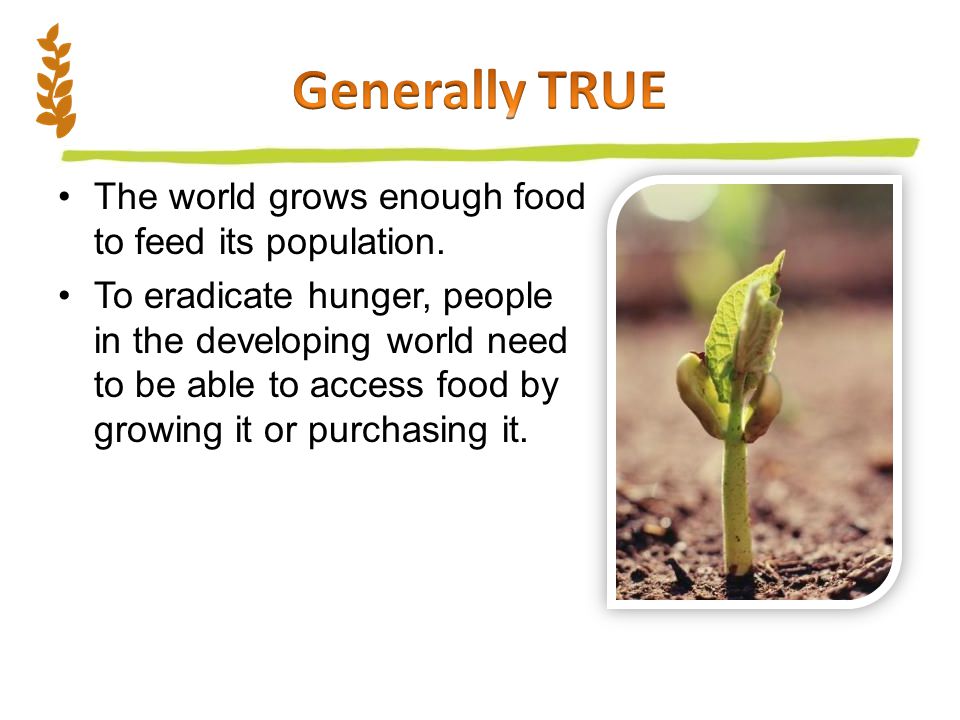 The world grows enough food to feed its population.