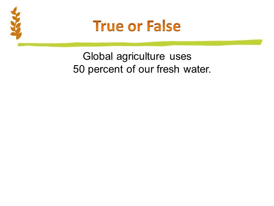 Global agriculture uses 50 percent of our fresh water.