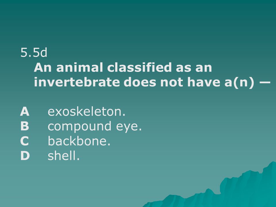 5.5d An animal classified as an invertebrate does not have a(n) — Aexoskeleton.