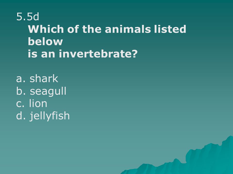 5.5d Which of the animals listed below is an invertebrate a. shark b. seagull c. lion d. jellyfish