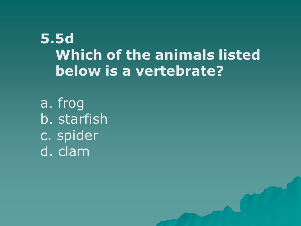 5.5d Which of the animals listed below is a vertebrate a. frog b. starfish c. spider d. clam